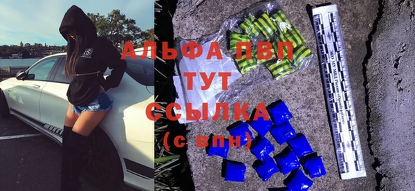 сатива Богородицк