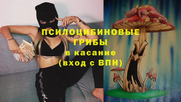 метамфетамин Богданович