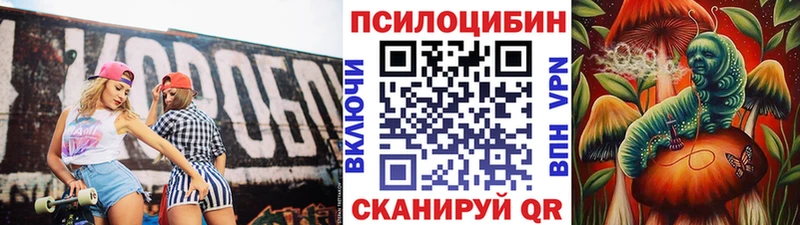 Псилоцибиновые грибы Magic Shrooms  Котовск 